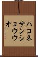 ハコネサンショウウオ Scroll
