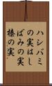 ハシバミの実 Scroll