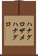 ハナグロザメ Scroll