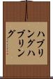 ハブリング Scroll