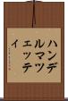 ハンデルマツェッティ Scroll