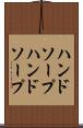 ハンドソープ Scroll
