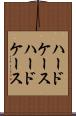 ハードケース Scroll