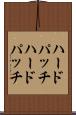 ハードパッチ Scroll
