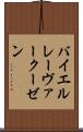 バイエル・レーヴァークーゼン Scroll