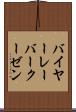 バイヤー・レーバークーゼン Scroll