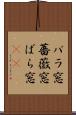 バラ窓 Scroll