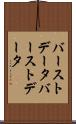 バーストデータ Scroll