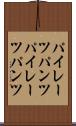 パイレーツパンツ Scroll