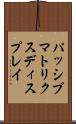 パッシブ・マトリクス・ディスプレイ Scroll