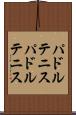 パドルテニス Scroll