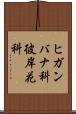 ヒガンバナ科 Scroll