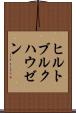 ヒルトブルクハウゼン Scroll