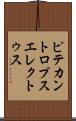 ピテカントロプス・エレクトゥス Scroll