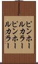 ピンホールカラー Scroll