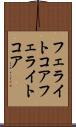 フェライトコア Scroll