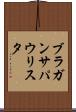 ブラガンサパウリスタ Scroll