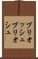 ブリオッシュ Scroll
