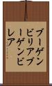 ブーゲンビリア Scroll
