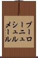 ブーローニュシュルメール Scroll