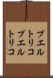 プエルトリコ Scroll