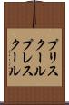 プリスクール Scroll