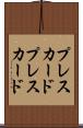 プレスカード Scroll