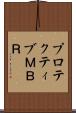 プロテクティブＭＢＲ Scroll