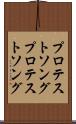 プロテストソング Scroll