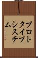 プロトタイプ・システム Scroll