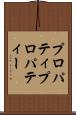 プロパティ Scroll