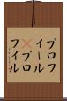 プロフィール(P) Scroll