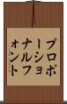 プロポーショナルフォント Scroll