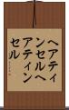 ヘアティンセル Scroll