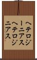 ヘテロジーニアス Scroll