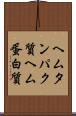 ヘムタンパク質 Scroll