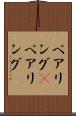 ペアリング(P) Scroll