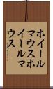 ホイールマウス Scroll