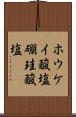 ホウケイ酸塩 Scroll