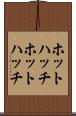 ホットハッチ Scroll