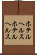 ホテルヘルス Scroll