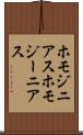ホモジニアス Scroll