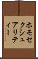 ホモセクシュアリティー Scroll