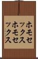 ホモセックス Scroll