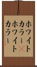 ホワイトカラー(P) Scroll