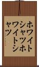 ホワイトシャツ Scroll