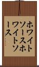 ホワイトソース Scroll