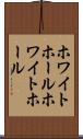 ホワイトホール Scroll