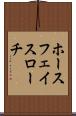 ホースフェイスローチ Scroll