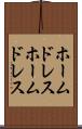 ホームドレス Scroll